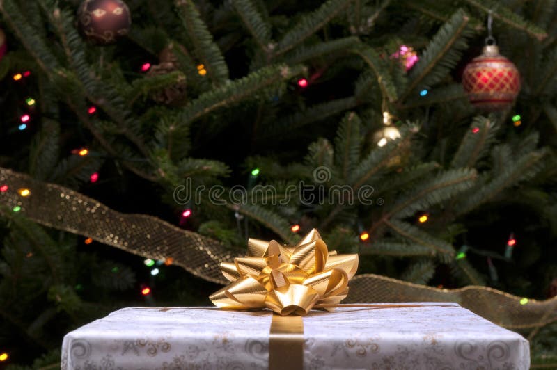 Christmas gift with gold bow in front of tree