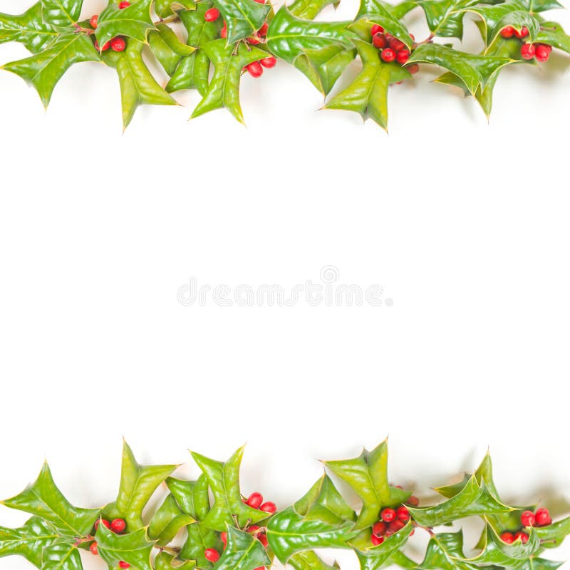 Christmas green framework isolated on white