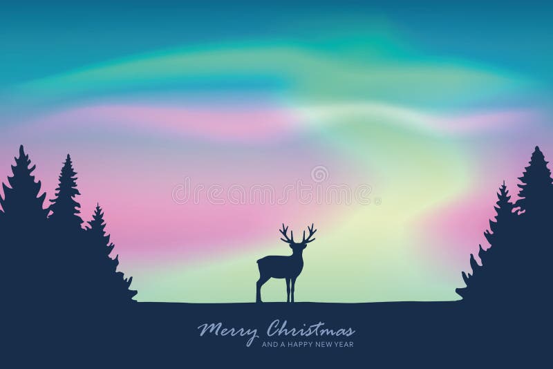 Aurora Borealis Photo Greeting Cards