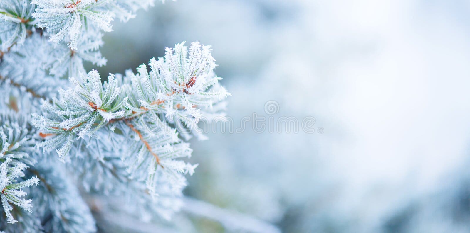 Winter Stock Photos, Royalty Free Winter Images