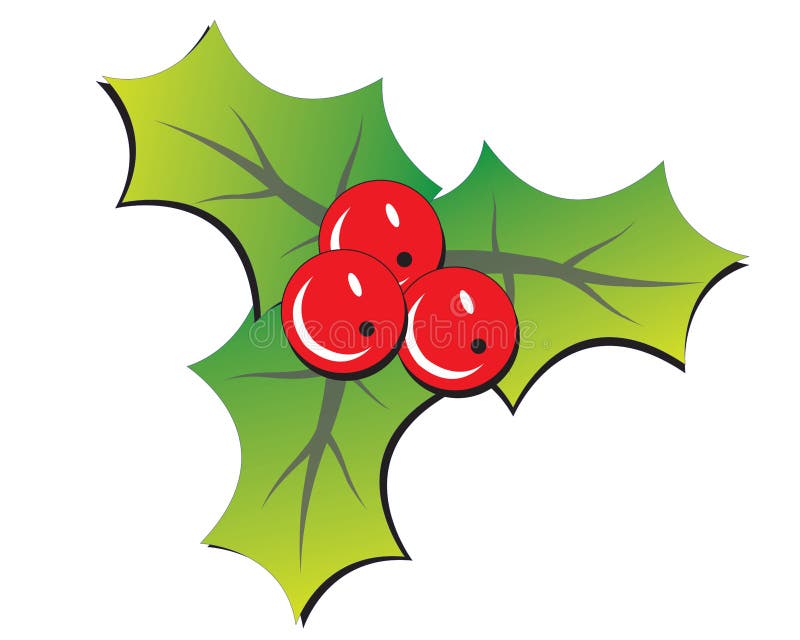 Christmas holly - x'mas vector illustration. Drawing time vectors