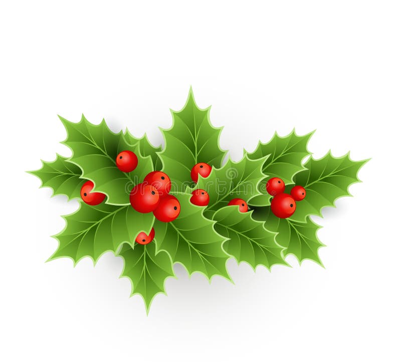 Christmas Holly Stock Illustrations – 154,677 Christmas Holly