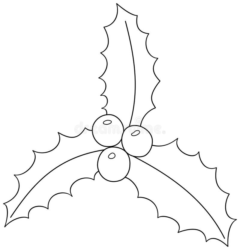 Holly berry coloring page