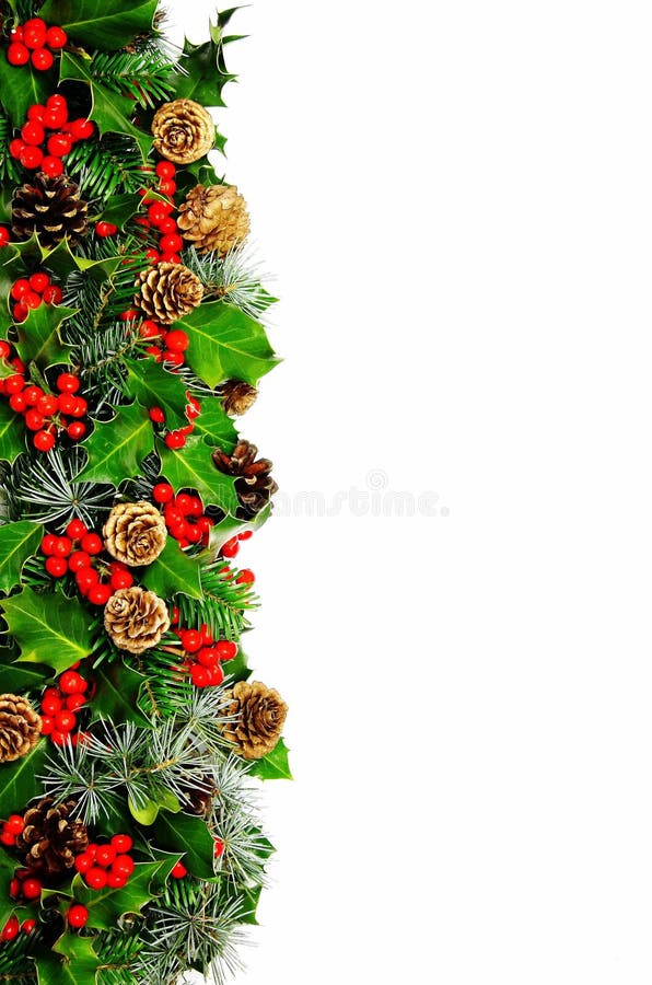 A single vertical traditional Christmas border comprising natural holly with vivid red berries, pine, cypress and cones with room for text, photographed over white. A single vertical traditional Christmas border comprising natural holly with vivid red berries, pine, cypress and cones with room for text, photographed over white