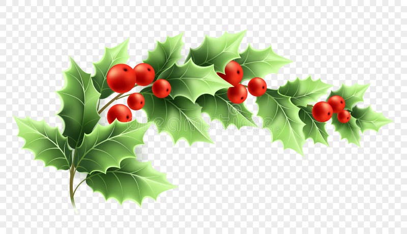 Christmas Holly Leaves Clipart Vector, Watercolor Christmas Holly