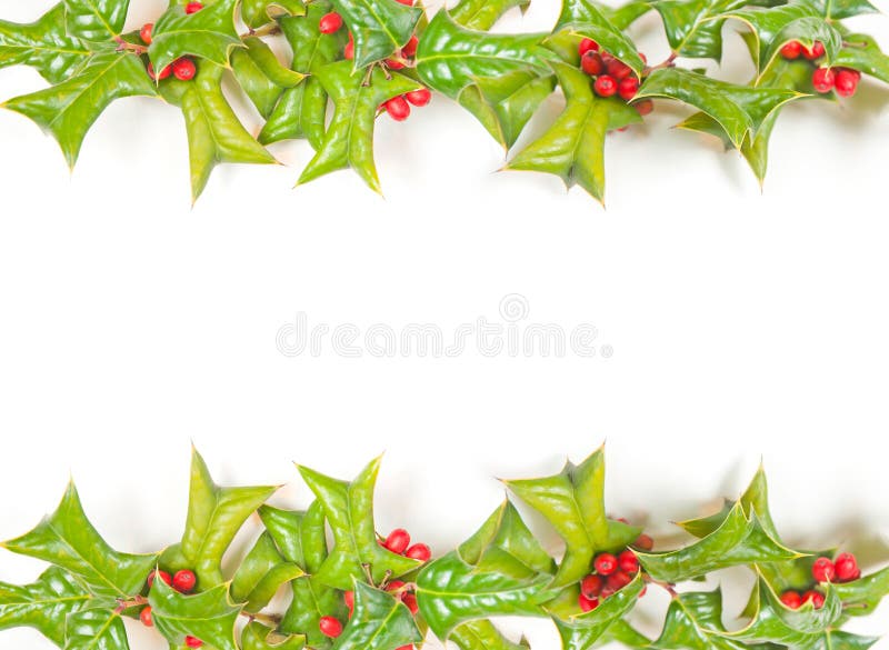 Christmas holly frame isolated