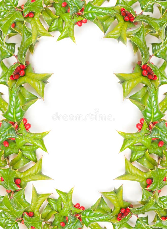 Christmas holly frame isolated