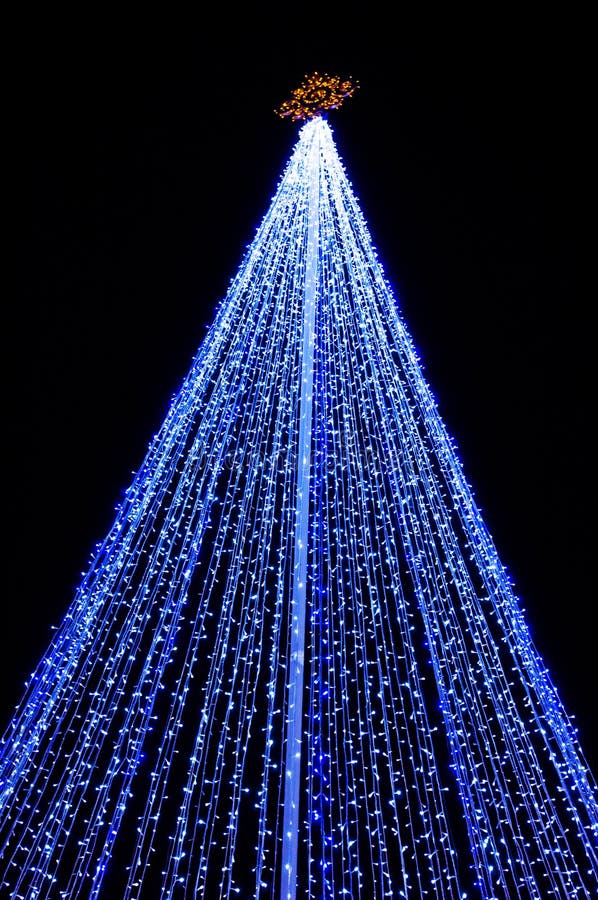 Blue Treetop with Fairy Lights for Christmas Stock Photo Image of
