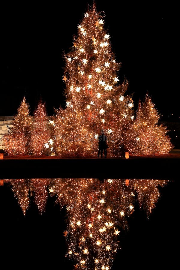 The Christmas Kiss royalty free stock photos The Christmas Kiss royalty free stock photos