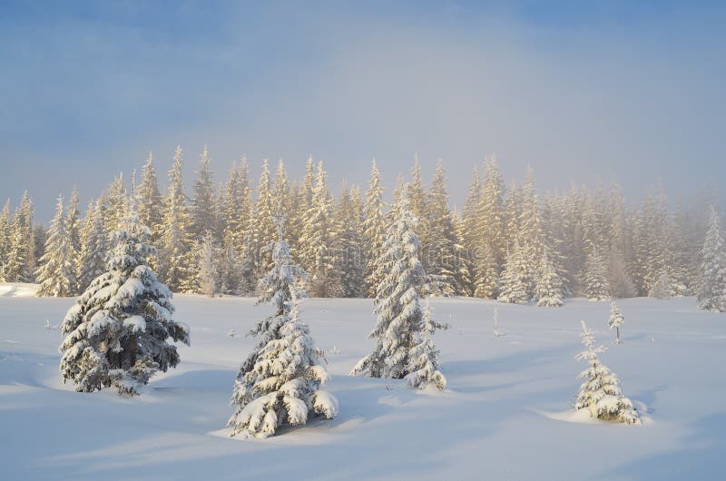 Christmas landscape stock images Christmas landscape stock images