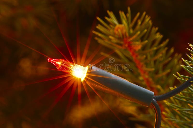 Christmas lights stock photo. Image of blue, isolated 7088100
