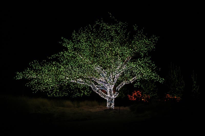 Christmas Walk stock photo. Image of landscape, illuminated 340234