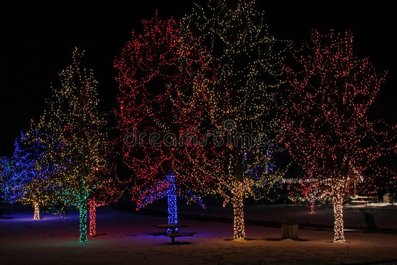 Christmas Lights stock photo. Image of seasonal, colorado 31697110