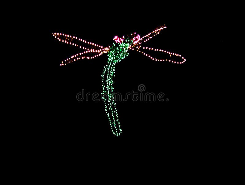 Christmas lights: dragonfly