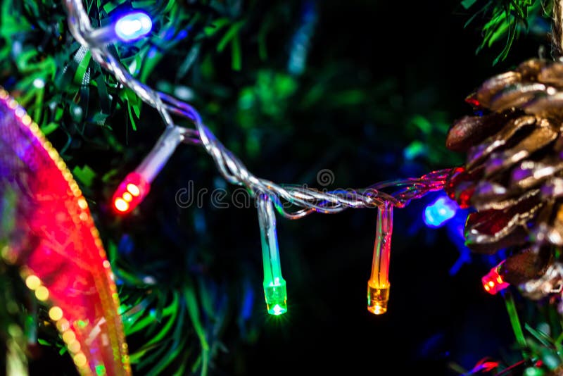 Christmas Lights Hanging in the Christmas Tree Stock Image Image of