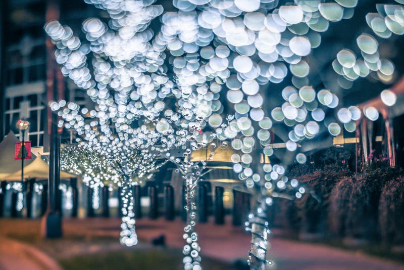 christmas lights in charlotte