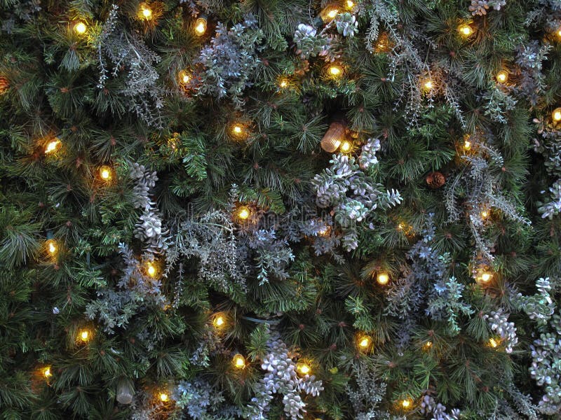 Christmas Lights on Pine stock image. Image of christmas 11988915