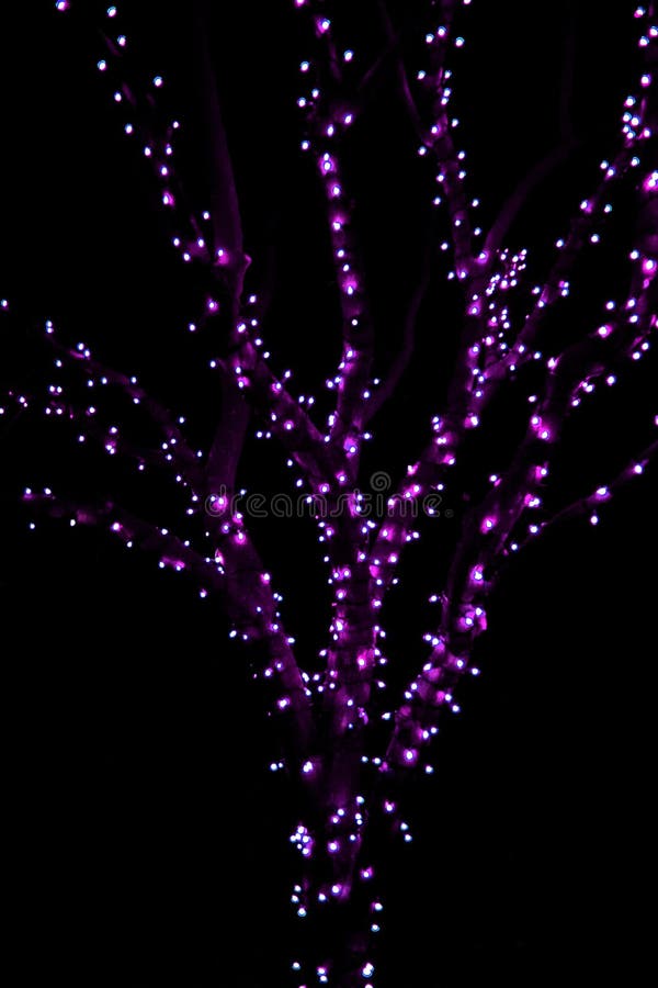 Christmas lights: purple tree