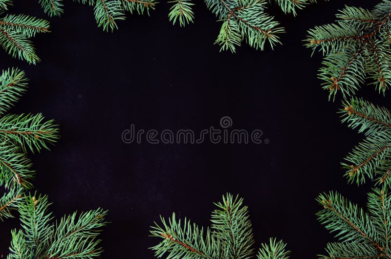 Christmas and New Year background with spruce tree brunches frame and copy space. Christmas and New Year greeting card with spruce tree brunches frame and copy royalty free stock photo Christmas and New Year background with spruce tree brunches frame and copy space. Christmas and New Year greeting card with spruce tree brunches frame and copy royalty free stock photo