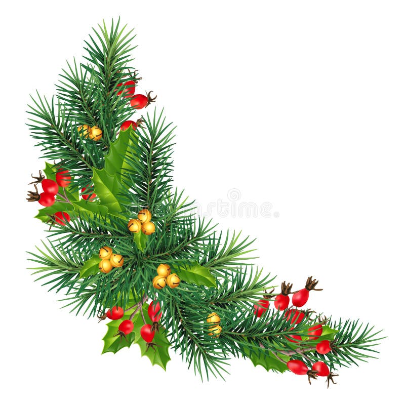 Set of realistic Christmas tree branches of different shapes and sizes. New  Year and Christmas elements. Plants for creating garlands 22011720 Vector  Art at Vecteezy