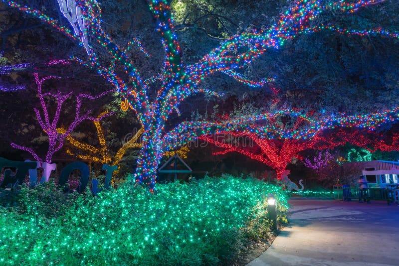 Celebration Lighting stock image. Image of hokkaido, holiday - 11818559