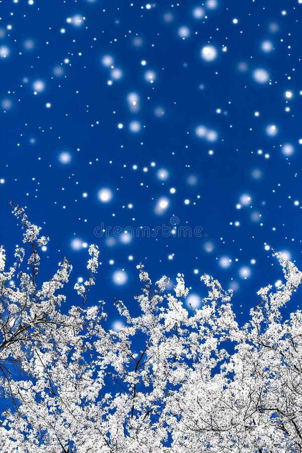 Christmas, New Years blue floral background, holiday card design, flower tree and snow glitter as winter season sale promotion