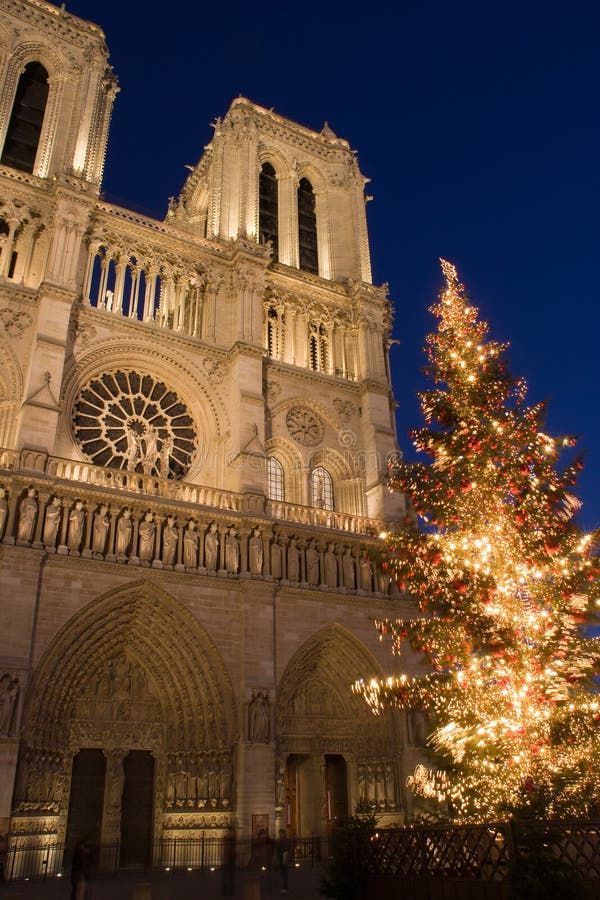 Árbol de navidad antes catedral París, Francia.