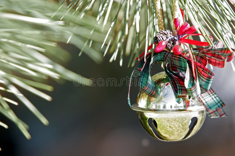 Christmas Ornament on a Pine Tree Stock Image Image of ribbon, golden