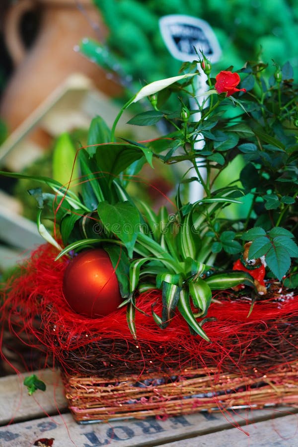 Christmas Ornament and Plants Stock Image Image of merry, seasonal