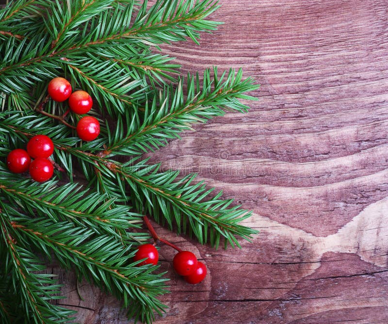 Christmas pine tree branch stock image. Image of needle - 32921459