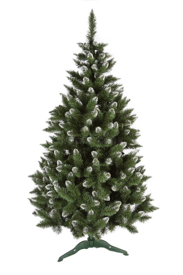 Christmas pine tree isolated on white background royalty free stock photo