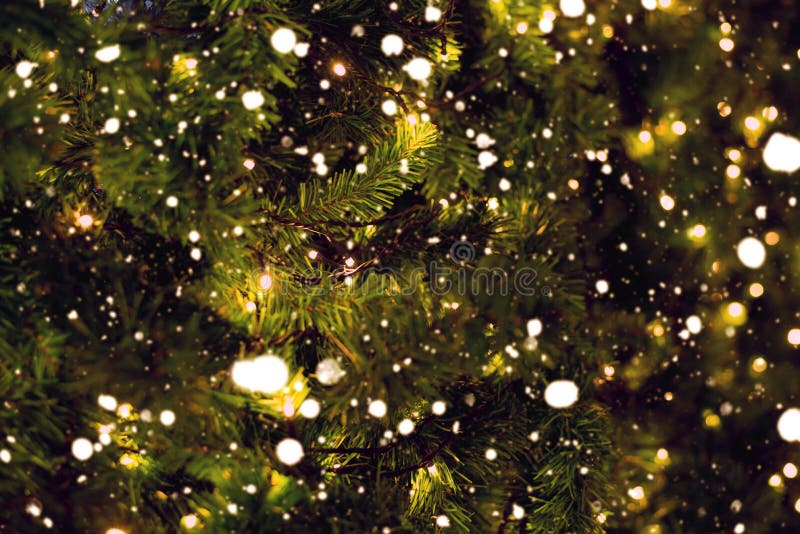 Christmas Pine Tree with Light Bokeh and Snow Fall on Blurred