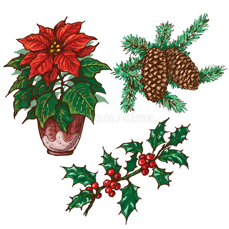 Christmas Plants Set stock vector. Illustration of decor 62337798