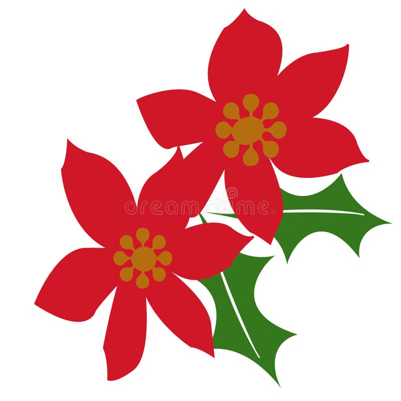 Christmas poinsettia