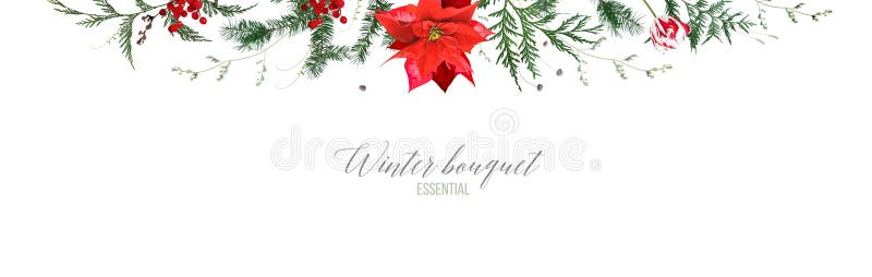 Christmas poinsettia smaragdgrüne rote Beerenholz Fichtenholz-Fichtenbaum Vektorrahmen. Winterfeier lizenzfreie abbildung
