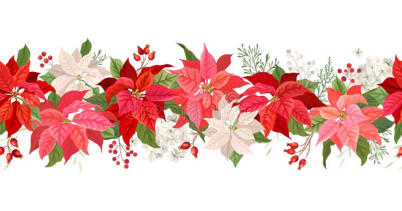 Christmas Poinsettia vector garland border, Watercolor floral winter season frame, holiday seamless background