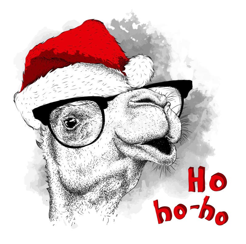 The christmas poster with the image camel portrait in Santa`s hat. Vector illustration.