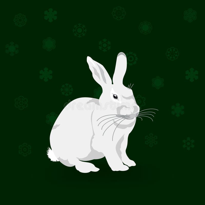 Christmas rabbit