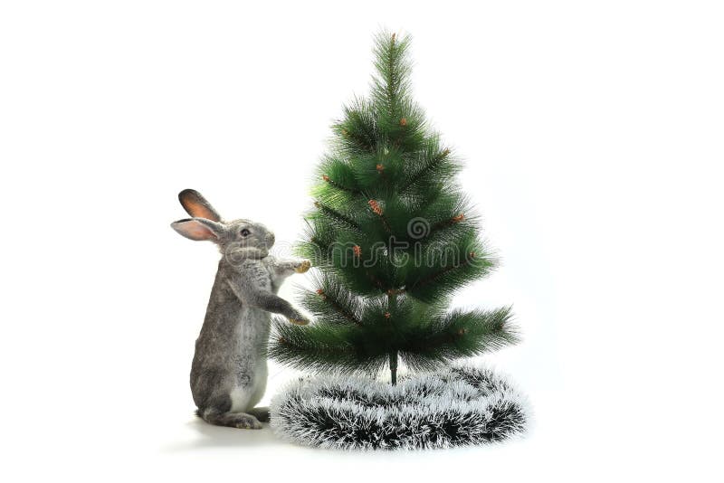 Christmas Toy Rabbits on the Background Trees Stock Photo Image of pants, game 34470672