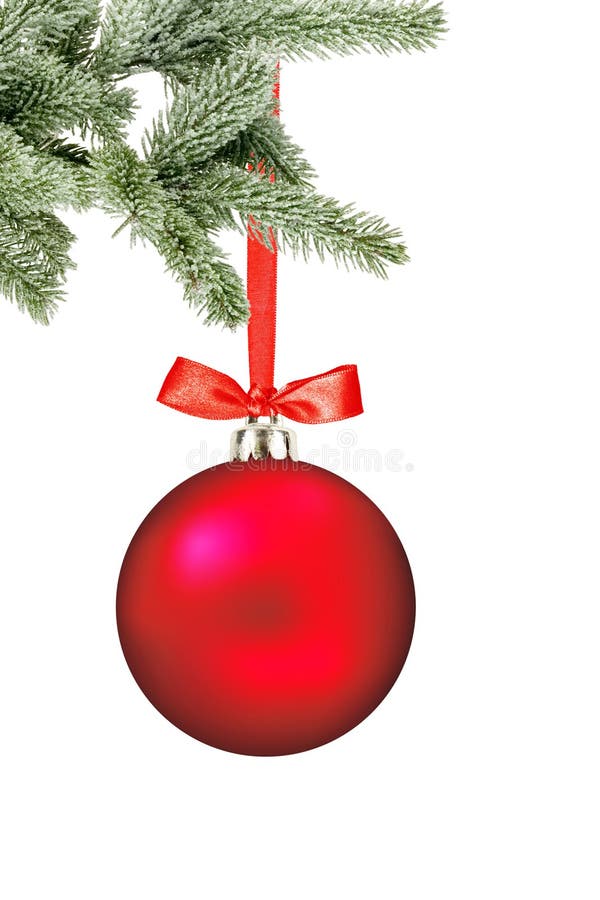 Christmas red ball and christmas tree branch isolated over white