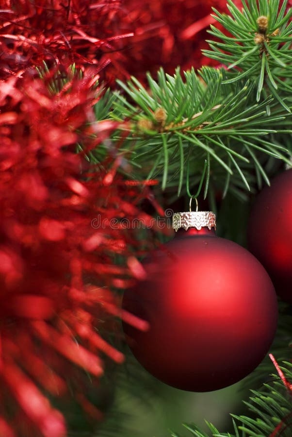 Christmas red ball on tree