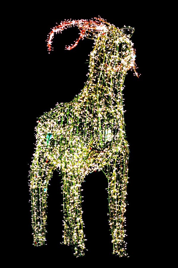 Christmas Reindeer , Decoration, Lights, Holiday Theme Stock Image ...