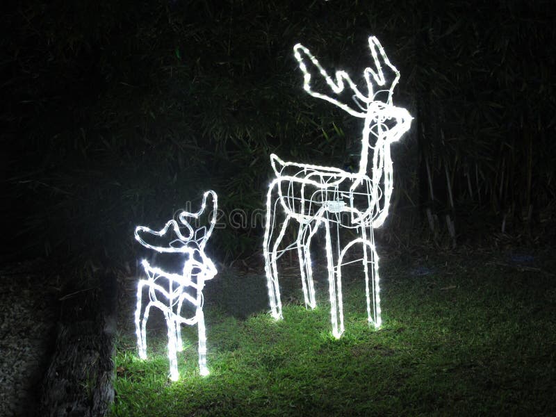 Christmas Reindeer Lights stock image. Image of tree 48054201