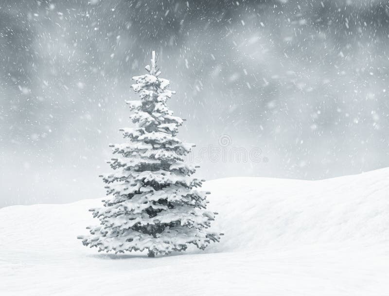 Christmas scene stock photo. Image of cold, cool, evergreen - 35178282