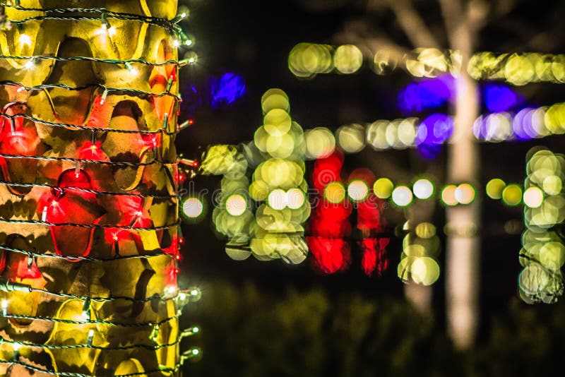 Christmas Season Decorations and Lights at Gardens Stock Image Image