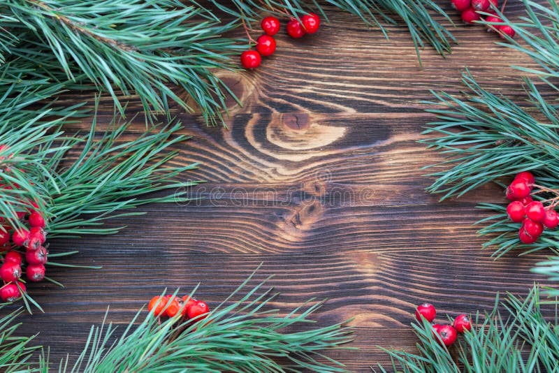 Christmas Seasonal Wooden Background With Pine Branches, Red Berries ...