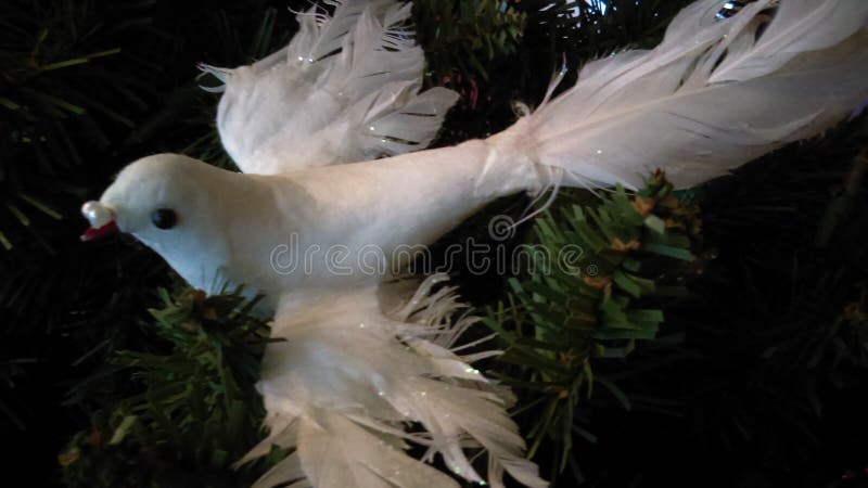 Christmas spirit of the dove royalty free stock images Christmas spirit of the dove royalty free stock images