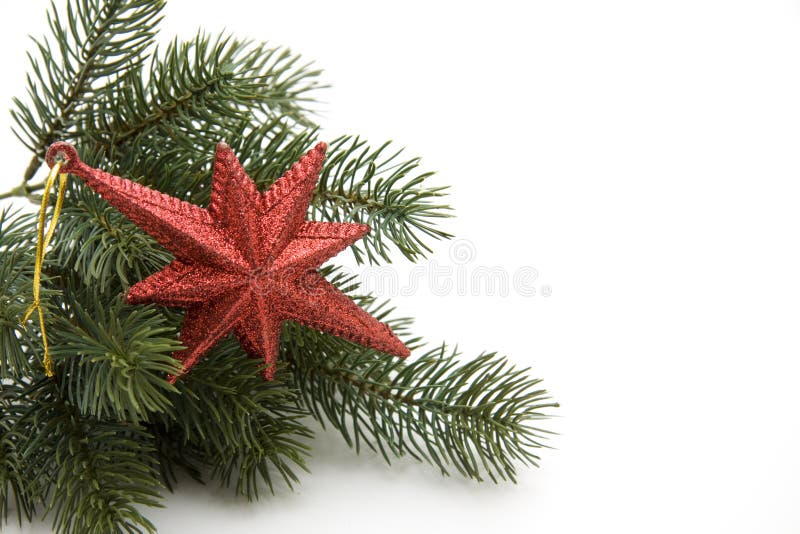 Christmas star