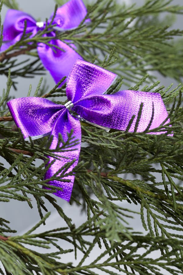 Christmas Tie stock image. Image of ornament, purple - 27524947