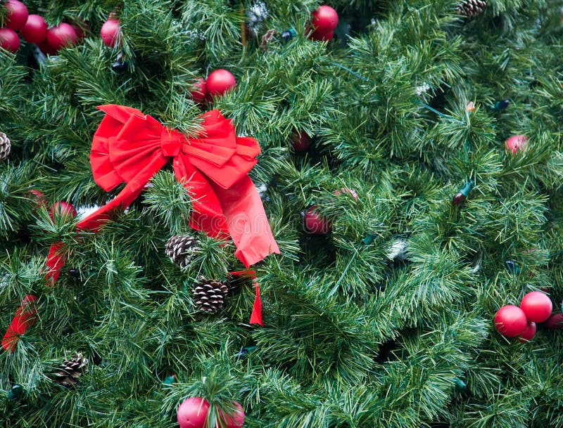 Songthrush nestlings stock photo. Image of reserve, flight 1734936